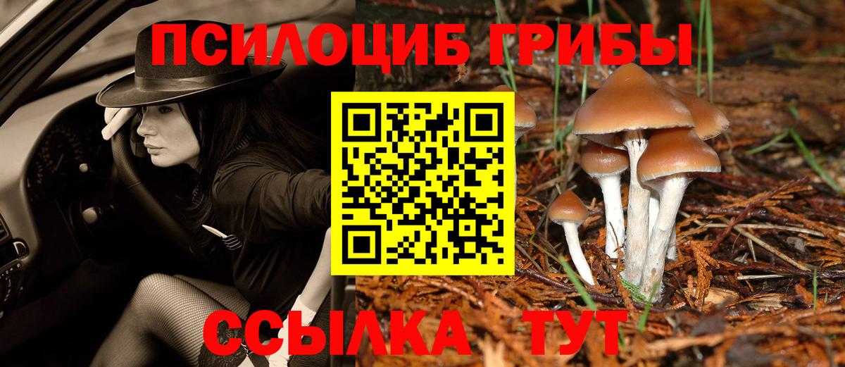Лениногорск  Псилоцибиновые грибы MAGIC MUSHROOMS  Вход с VPN  Галлюциногенные грибы мицелий 
